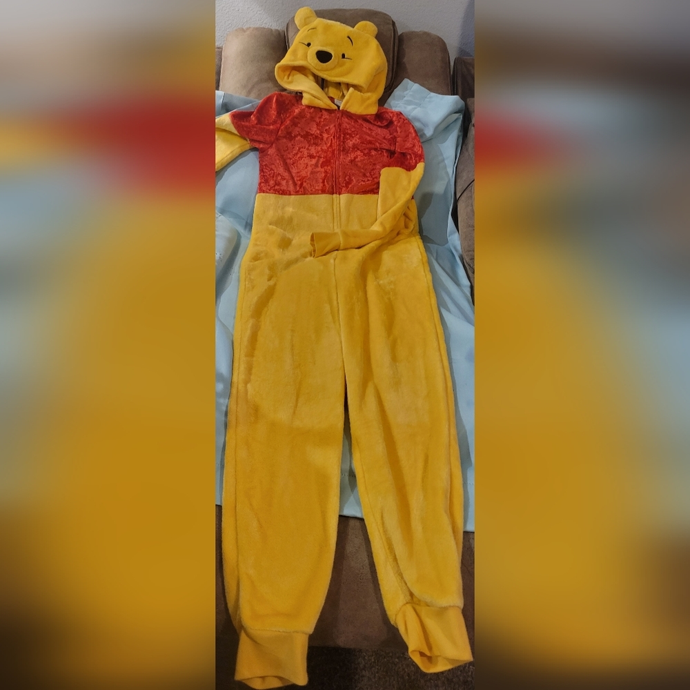 Adult Women's Winnie the Pooh zip up onsie